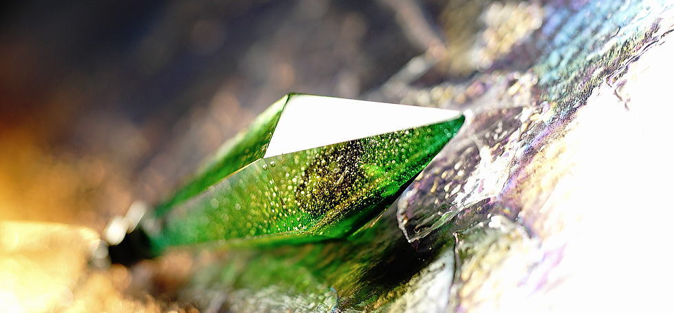 Eternal evergreen crystal