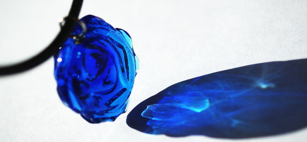 魅惑のBLUE ROSE