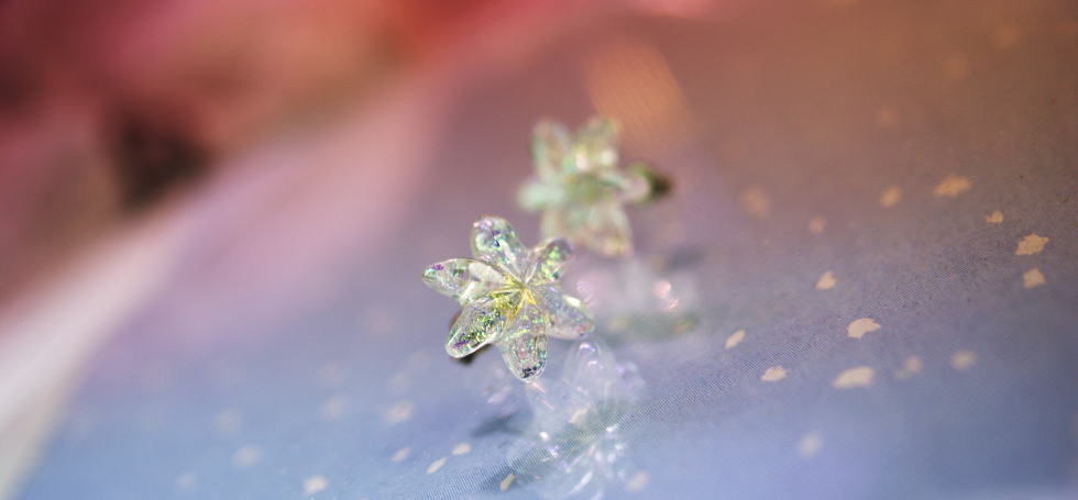 Snow flower ～ Mysterious bright ～