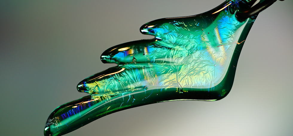 Malachite wing